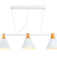 Светильник подвесной Traditional TR8196