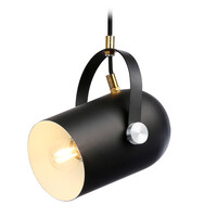 Светильник подвесной Traditional TR8206