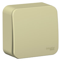 SE Blanca наруж Беж Выключатель 1-клавишный (cх.1) изолир. пластина 10А, 250B, Systeme Electric, Бежевый, BLNVA101017